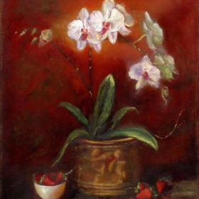 Orchid red background